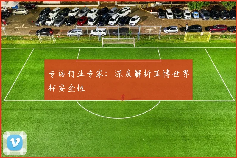 专访行业专家:深度解析亚博世界杯安全性