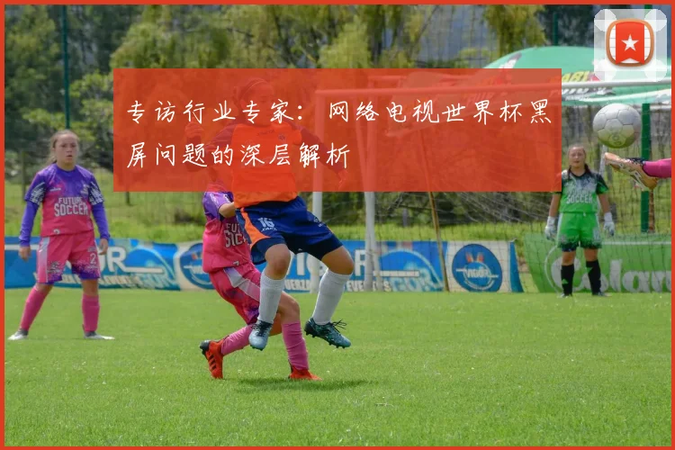 专访行业专家:网络电视世界杯黑屏问题的深层解析
