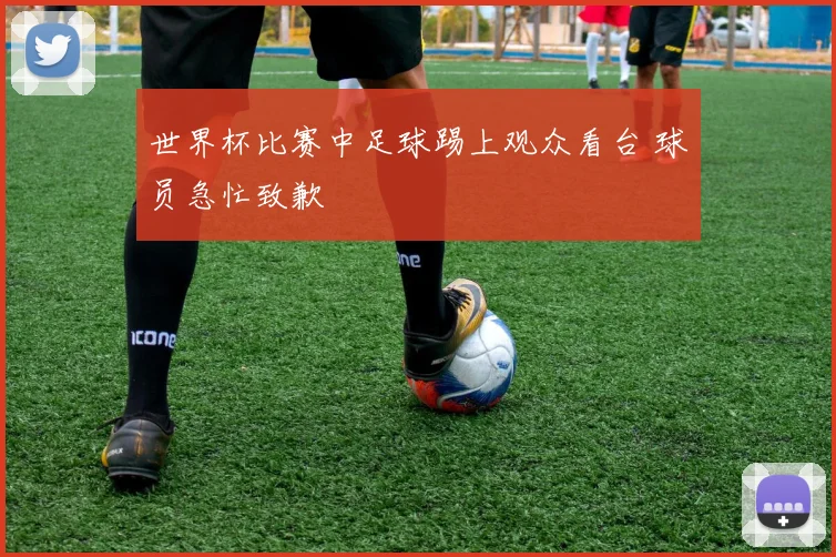 世界杯比赛中足球踢上观众看台 球员急忙致歉