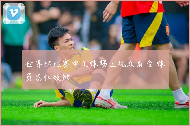 世界杯比赛中足球踢上观众看台 球员急忙致歉