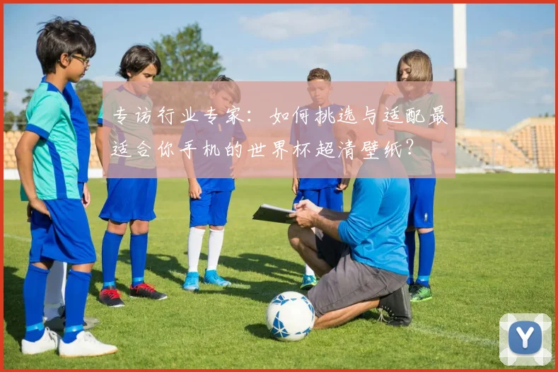 专访行业专家：如何挑选与适配最适合你手机的世界杯超清壁纸？