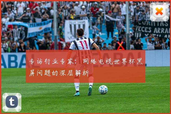 专访行业专家:网络电视世界杯黑屏问题的深层解析