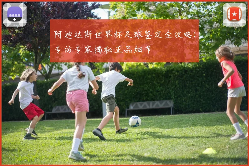 阿迪达斯世界杯足球鉴定全攻略：专访专家揭秘正品细节