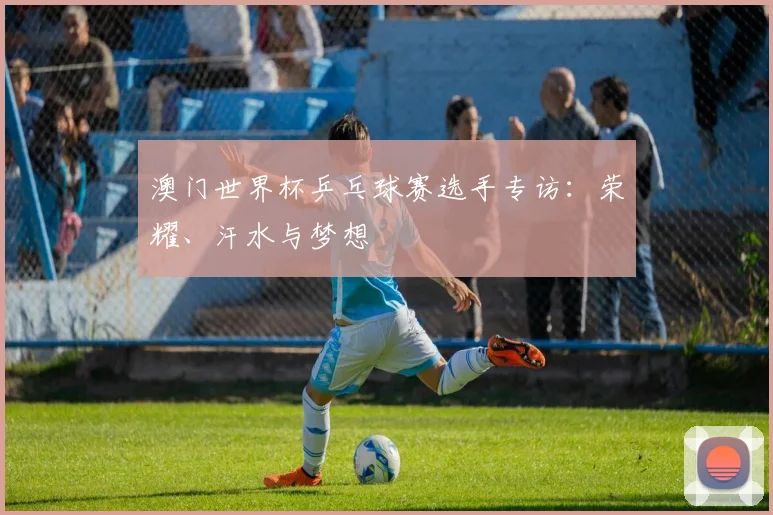 澳门世界杯乒乓球赛选手专访：荣耀、汗水与梦想